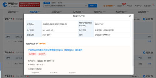 網(wǎng)元圣唐被強(qiáng)制執(zhí)行3821萬元，背后折射數(shù)字內(nèi)容制作服務(wù)風(fēng)險(xiǎn)